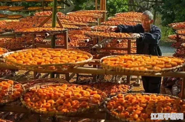 探秘心动小镇：解锁不为人知的隐藏任务全攻略指南