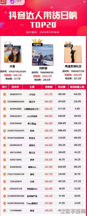 XXXXXL18每79，热门词：抖音、直播带货、网红经济、消费升级