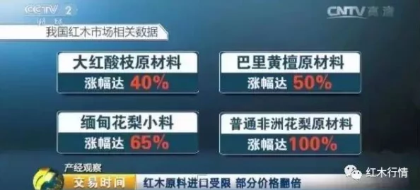 缅甸暗网网站：深度分析其背后的隐秘交易与网络安全风险