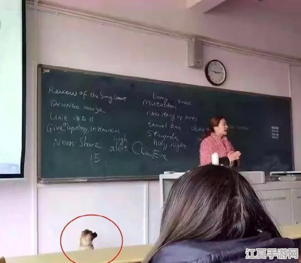 老师上课跳D突然被开到最大视频，令人惊讶的教学方式引发热议与讨论！