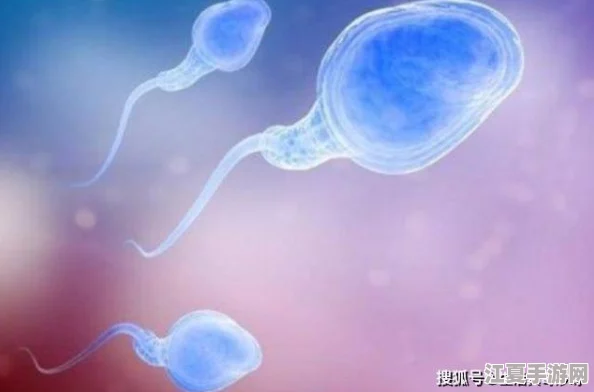 授精记1-21h最火的一句：爱情与命运交织的奇妙旅程