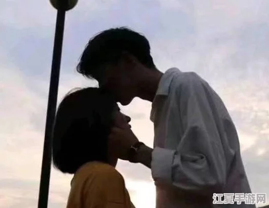 国产Gay男性玩奴sm调教：深入探讨情感与权力的交织，揭示现代性爱的新潮流与反思