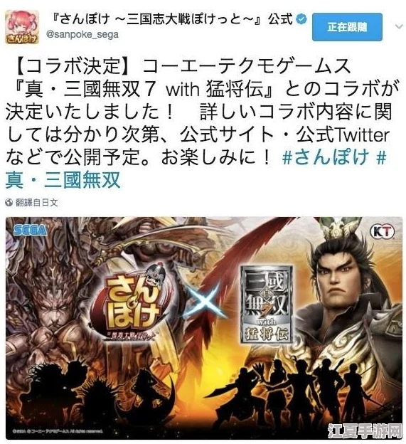 口袋高手：精选最强武将培养指南，哪位英雄能助你称霸战场？