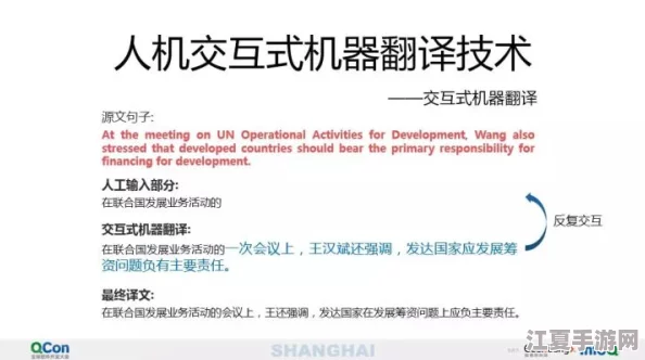 中文字幕区：用户评价揭示翻译质量的重要性与观众观看体验的深远影响