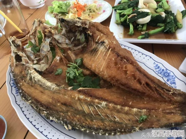 芒果视频污—用户评价直击：使用体验差异与内容丰富度的真实反馈