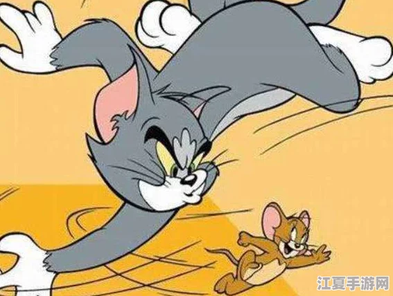 汤姆温馨提示30秒中转：理解这一过程的重要性与实用技巧分享