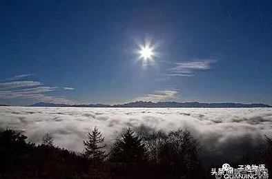 独家整理：地平线行者手游尊享礼包兑换码大全，限时领取专属福利盛宴！