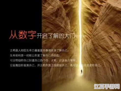 tobu8XXⅩHD：揭秘这个神秘数字背后的故事和意义