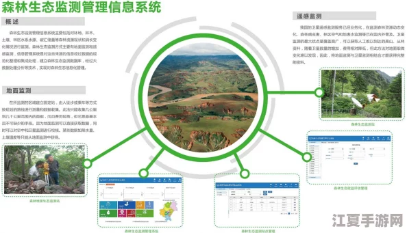 文明VI：森林资源管理策略——精准砍伐，优化城市发展蓝图