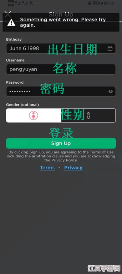 ROBLOX游戏频繁白屏问题：探究背后原因与解决方案，畅享无阻游戏体验