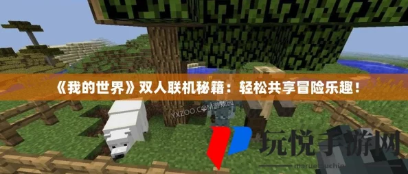 《我的世界》双人联机全攻略：轻松实现好友共游世界的详细步骤与技巧