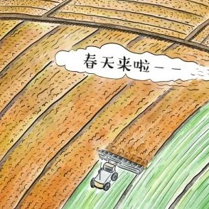 河南妇女毛深深的沟wcD：对社会现象的深入理解与反思