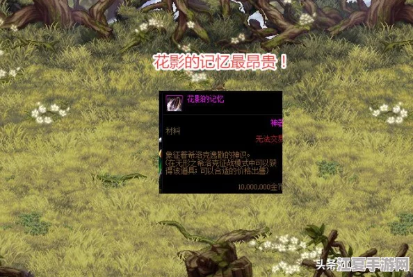 《地下城与勇士》高效搬砖指南：揭秘最佳金币产出地图，助你财富自由之路！