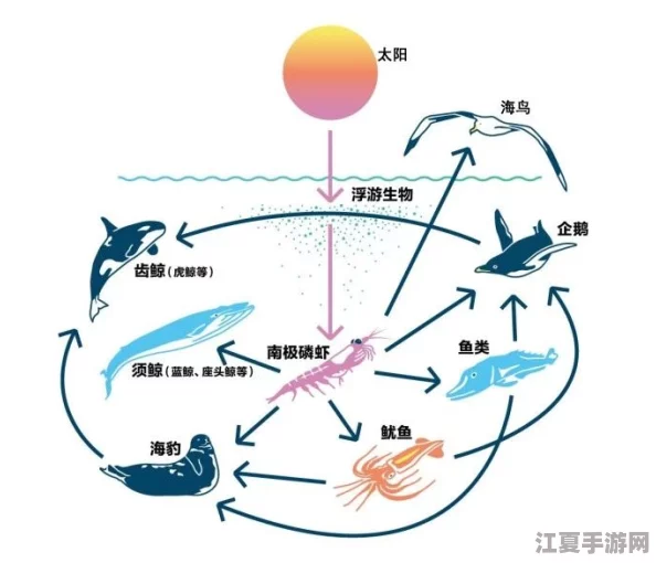 海域霸主争霸赛：揭秘不同生态系统中顶级掠食鱼种，谁才是食物链终极强者？