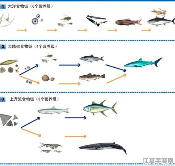 海域霸主争霸赛：揭秘不同生态系统中顶级掠食鱼种，谁才是食物链终极强者？