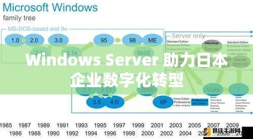 日本Windows Server 91：提升企业效率的最佳选择与实用技巧分享