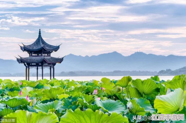 已满十八周岁从此转转：成年后的人生选择，你准备好了吗？