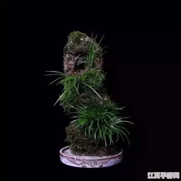 独家揭秘！仙灵剑全系通用兑换码盛宴，海量福利一键解锁秘籍大全