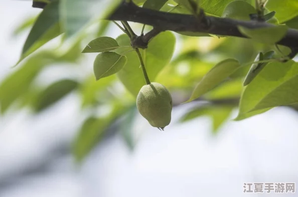 寻找甜蜜无BE的恋爱游戏？精选高甜度避免悲伤结局榜单大放送！