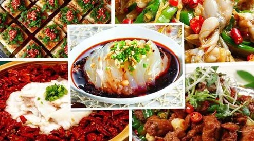 日本美食的独特魅力：用户评价说“每一口都是一种享受，不容错过的味道！”