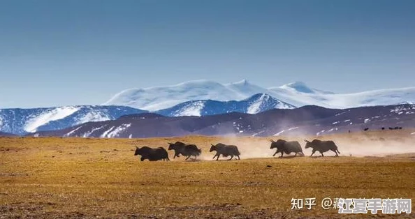精品无人区一线二线三线区别：深度解析不同等级景点的特色和魅力