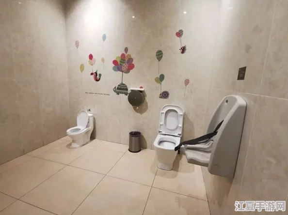 厕沟全景女厕沟精品：深入了解女性卫生间的设计与使用体验