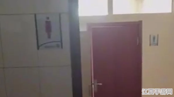 厕沟全景女厕沟精品：深入了解女性卫生间的设计与使用体验