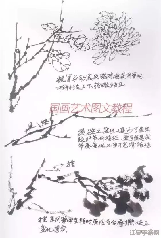 答错一题菊花放一支笔五条悟，用户纷纷表示剧情设定新颖，情节紧凑引人入胜